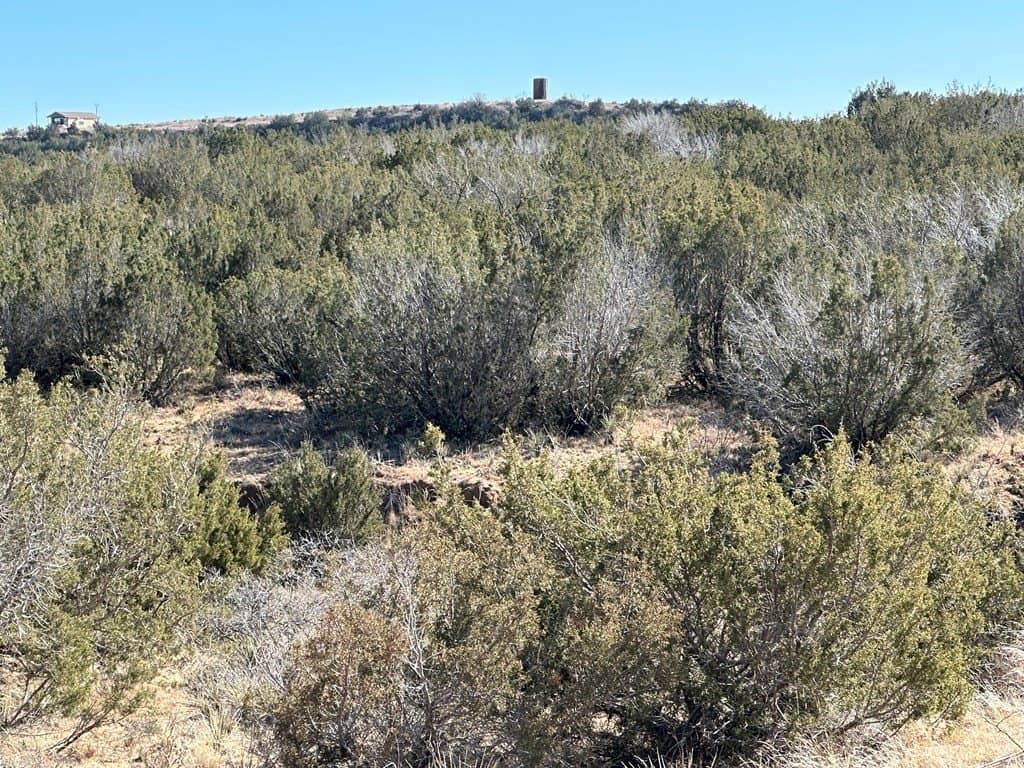 160 acres in Scurry County gallery image 4