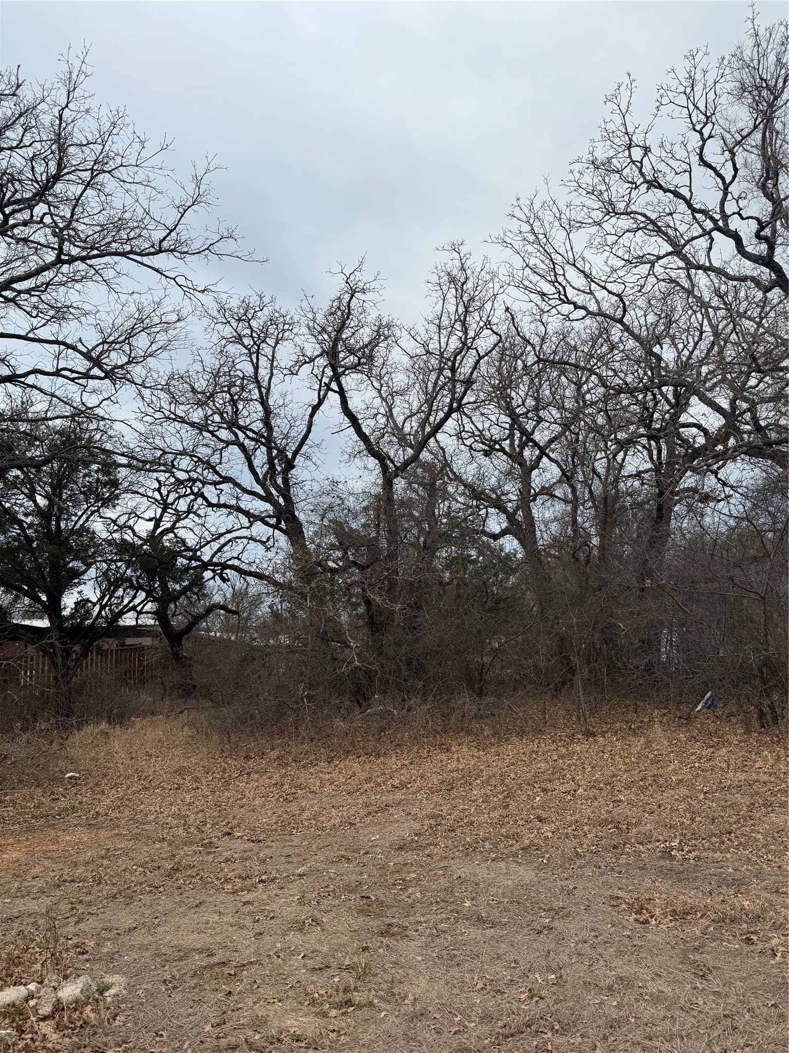 0.1 acres in Hood County - photo 2