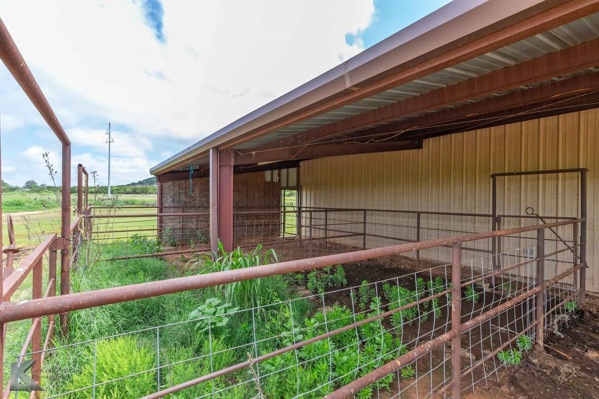 21.26 acres in Taylor County - photo 5