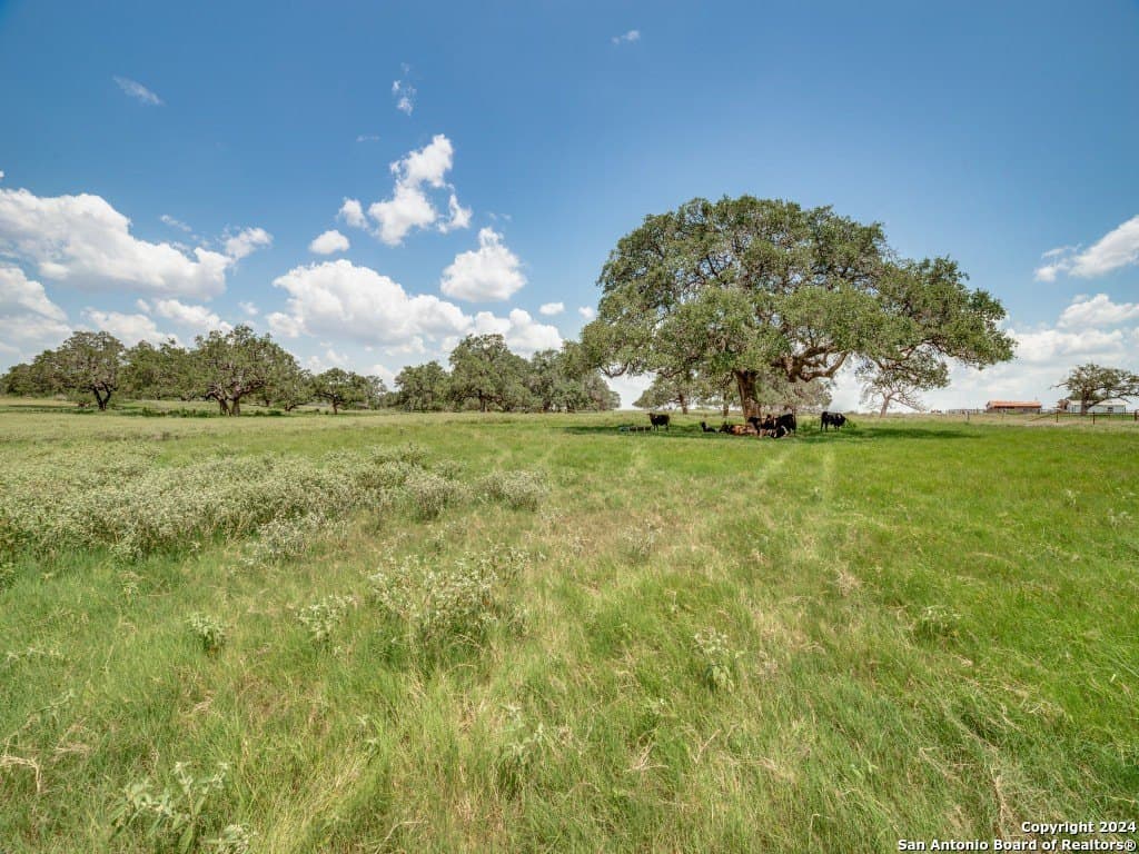 30 acres in Atascosa County gallery image 2