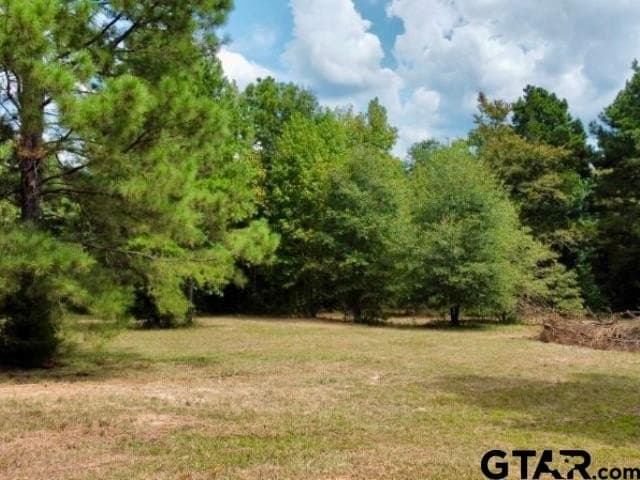 11.97 acres in Cass County - photo 8