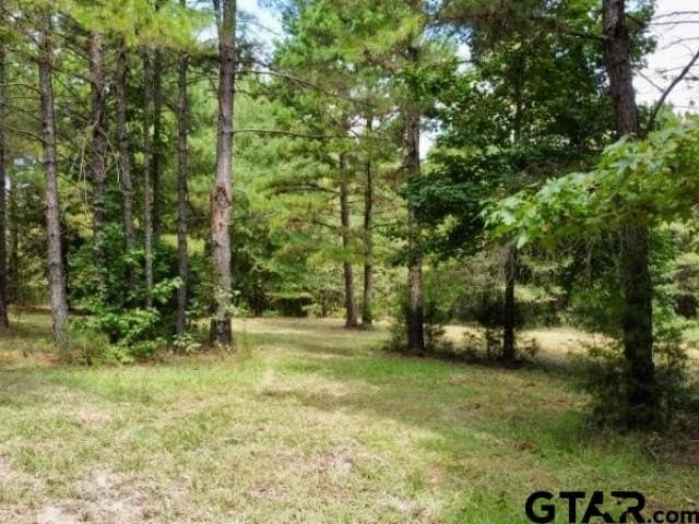 11.97 acres in Cass County - photo 9