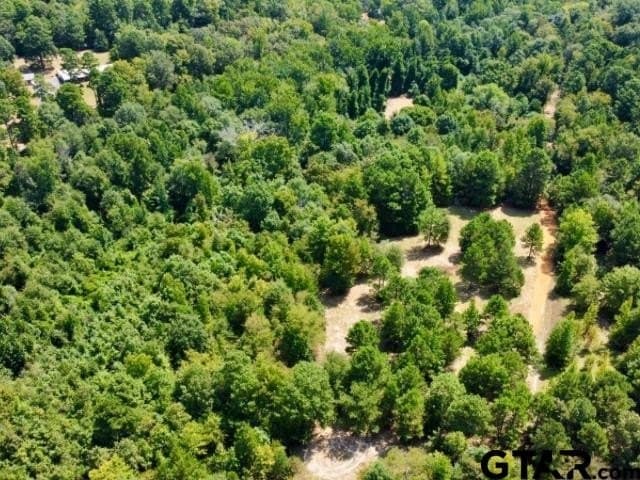 11.97 acres in Cass County - photo 11