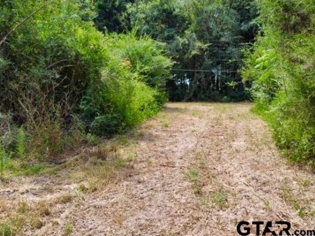 11.97 acres in Cass County - photo 4