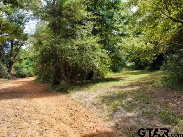11.97 acres in Cass County - photo 6
