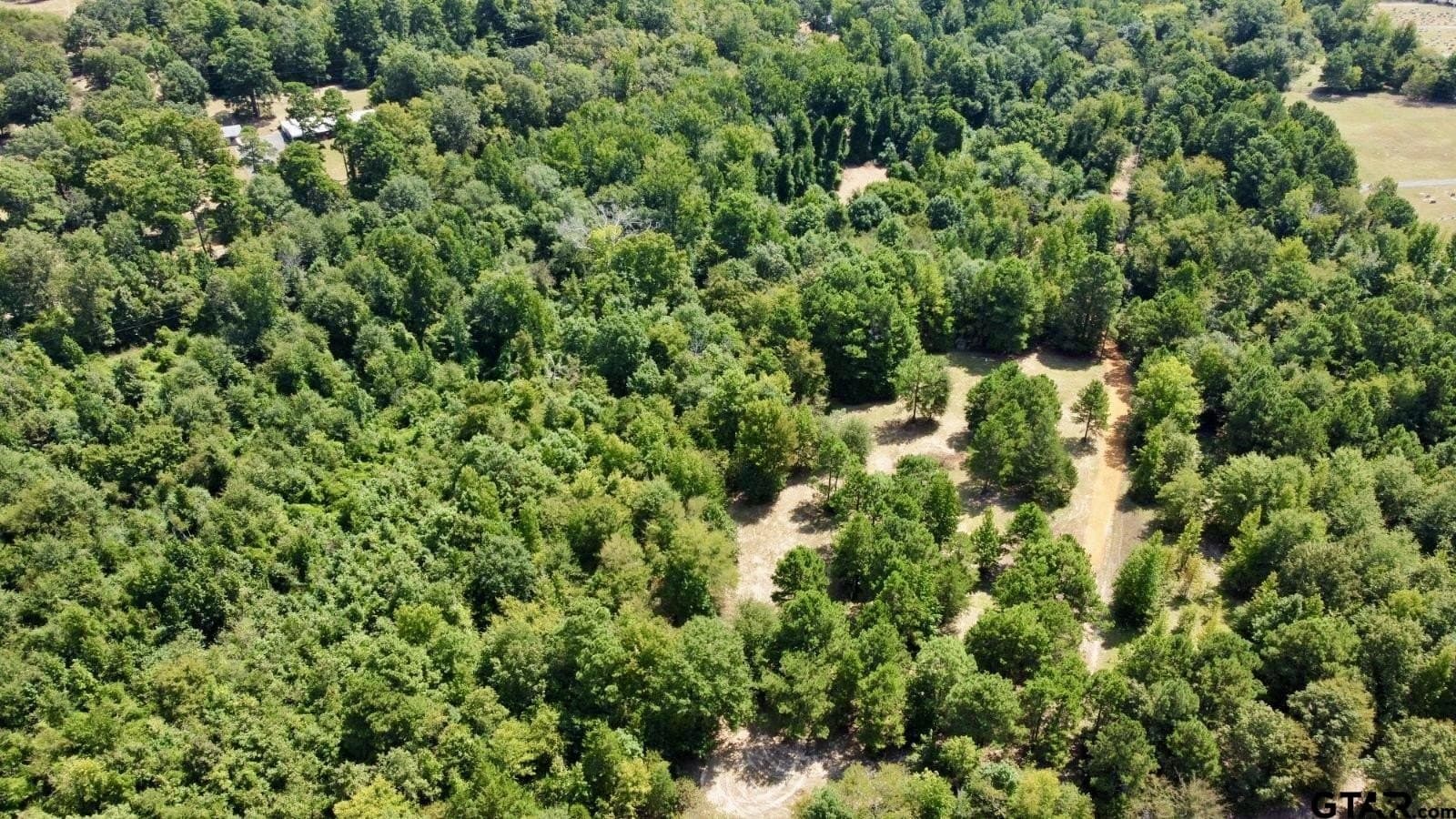 11.97 acres in Cass County - photo 13