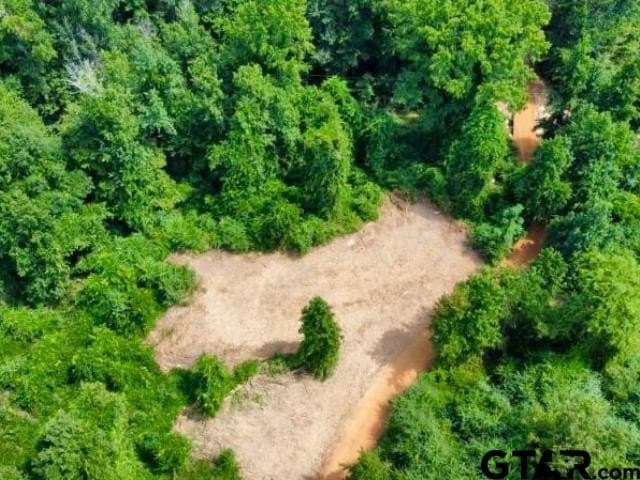 11.97 acres in Cass County - photo 10