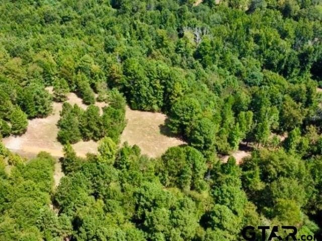 11.97 acres in Cass County - photo 12
