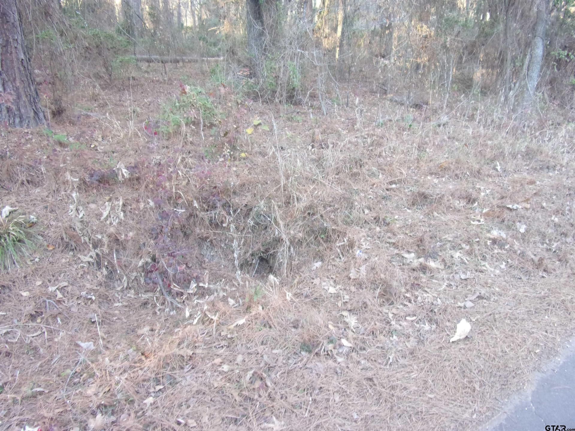 0.22 acres in Smith County gallery image 3