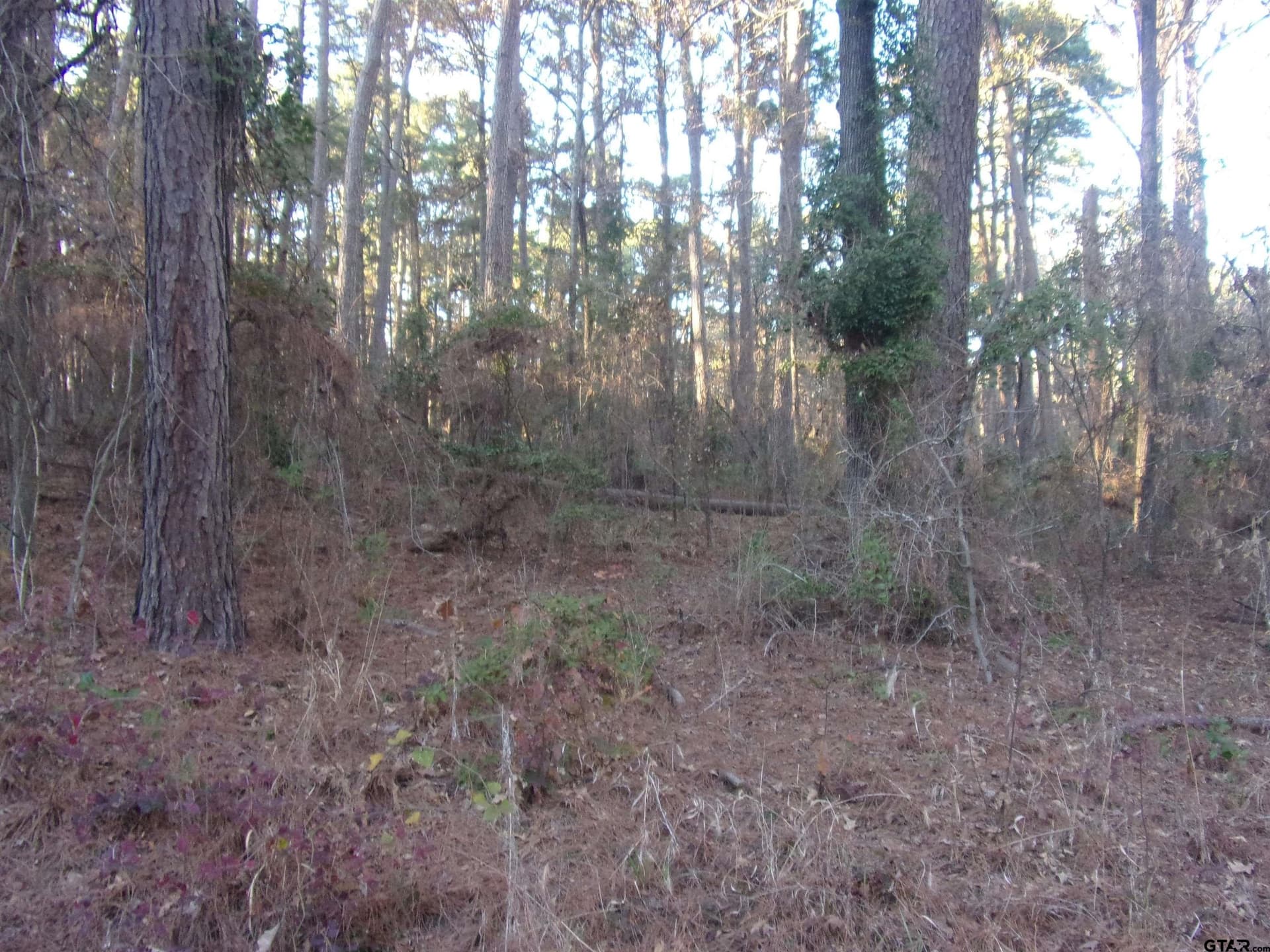 0.22 acres in Smith County gallery image 4