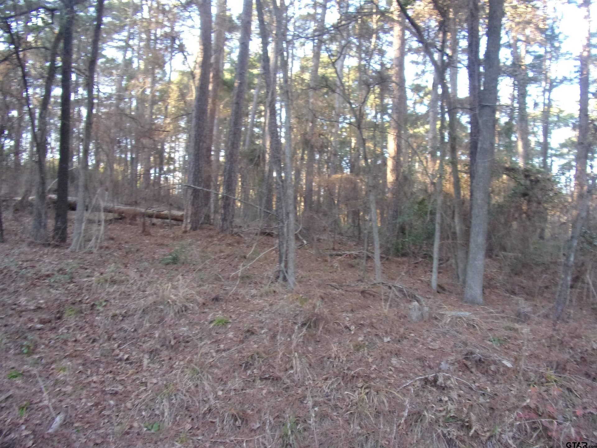 0.22 acres in Smith County gallery image 2