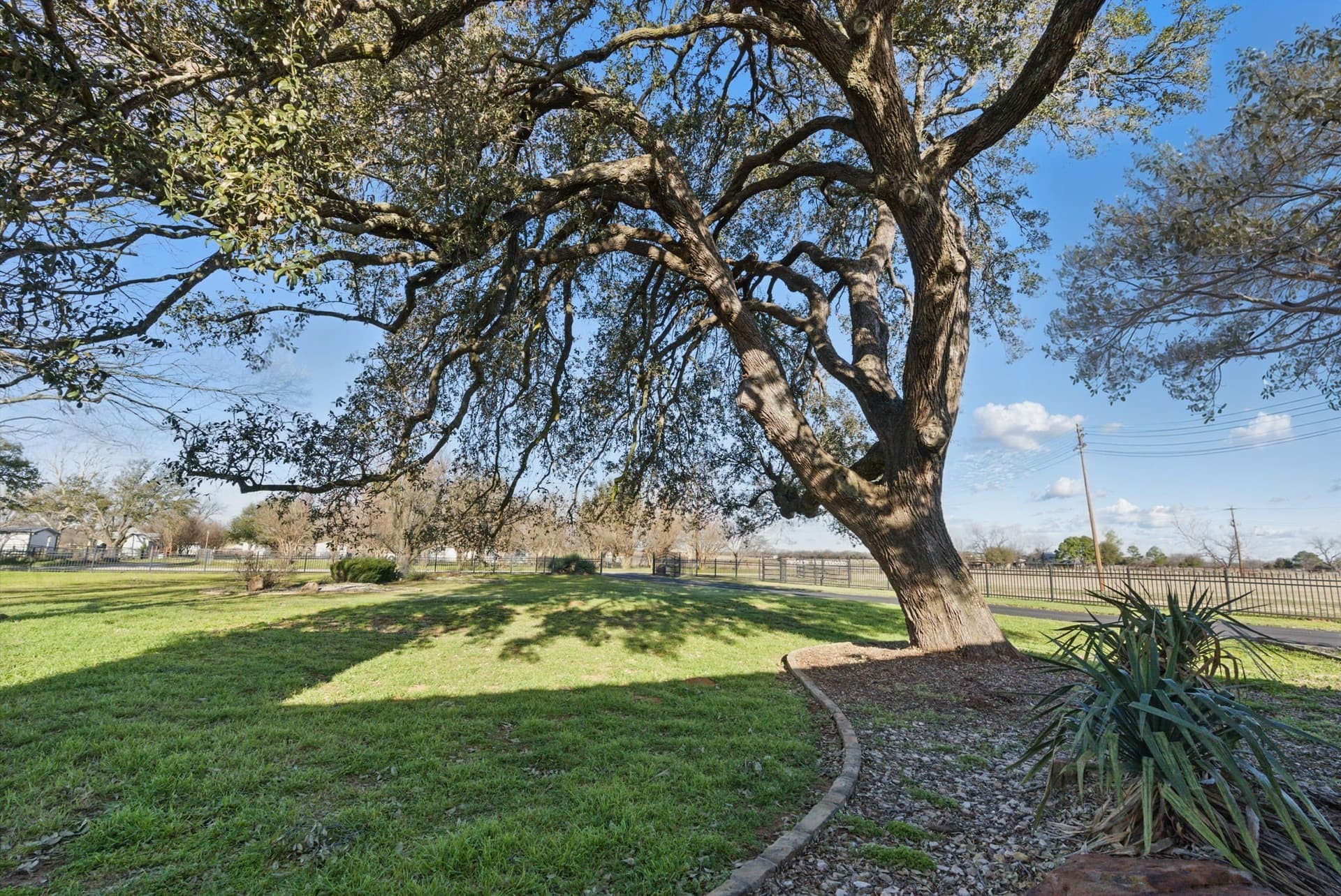 17.14 acres in Parker County - photo 3