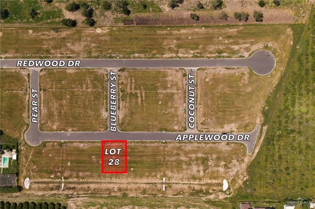 0.22 acres in Hidalgo County gallery image 2