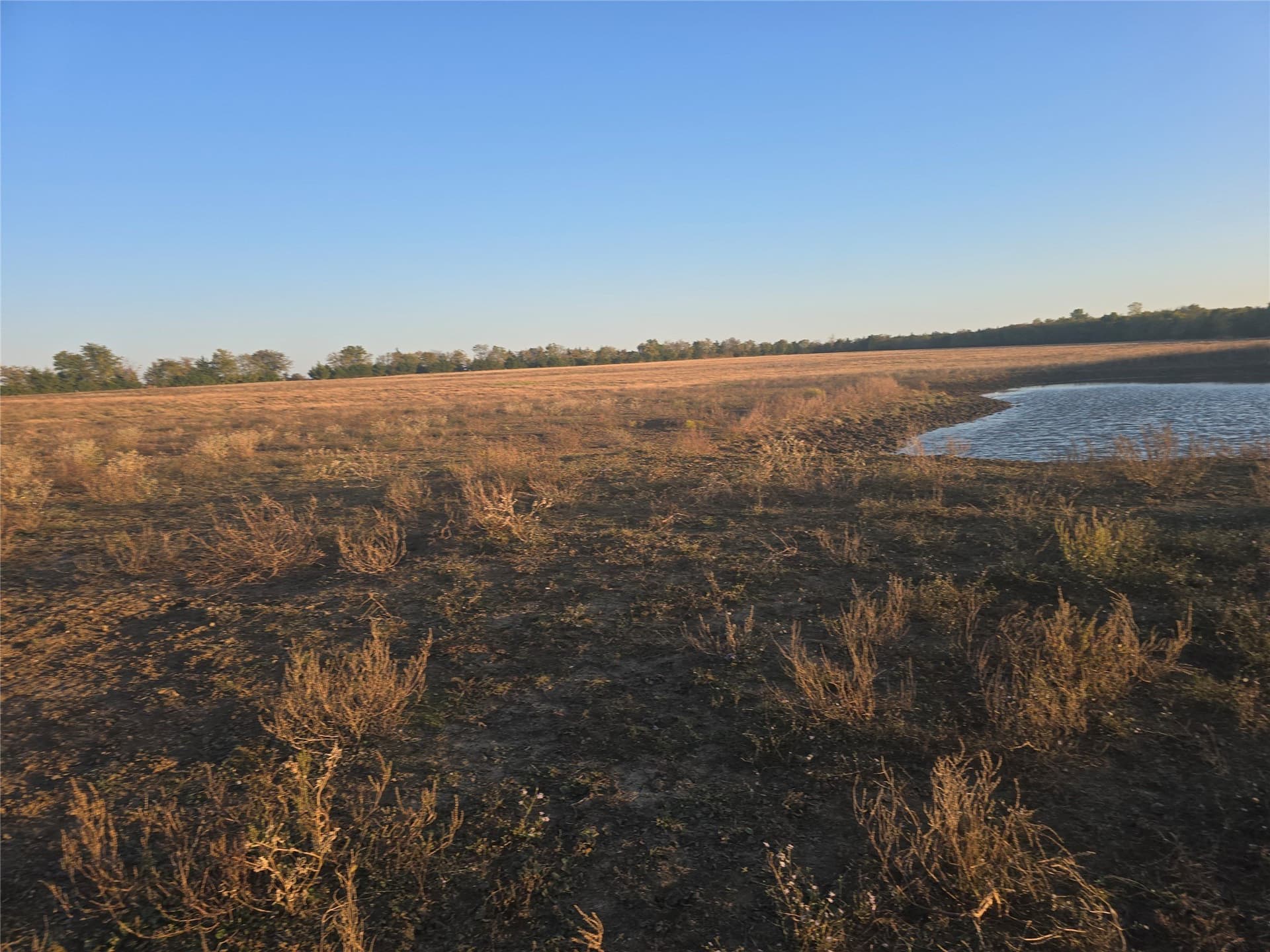 35 acres in Lamar County