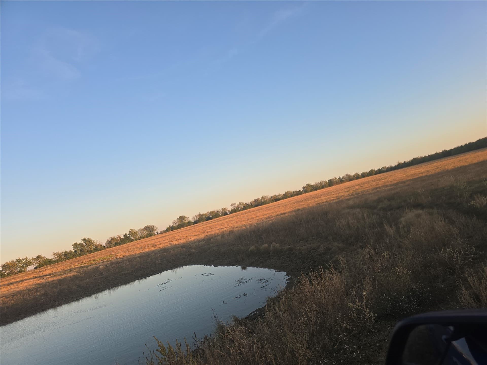35 acres in Lamar County gallery image 3