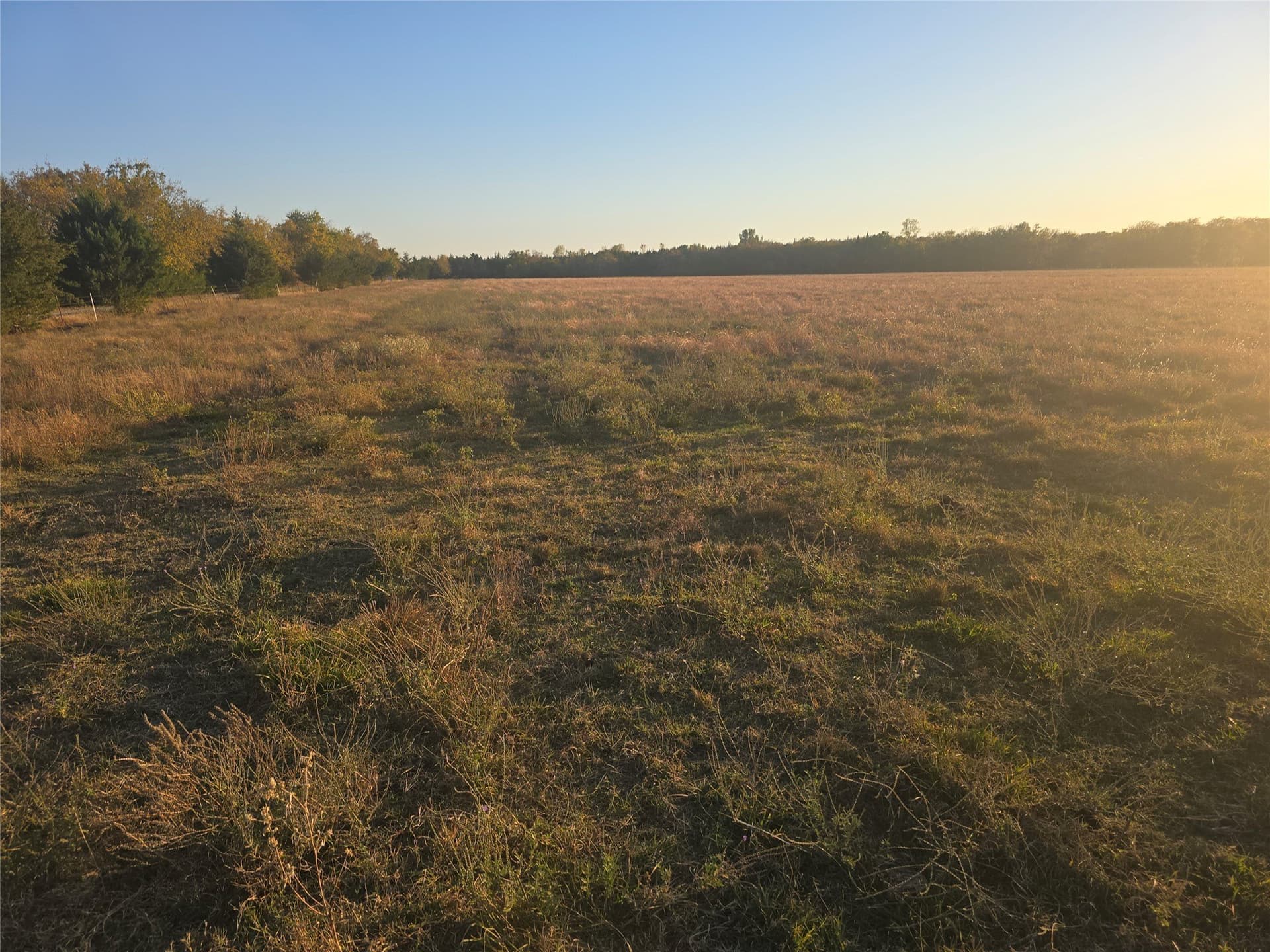 35 acres in Lamar County featured view