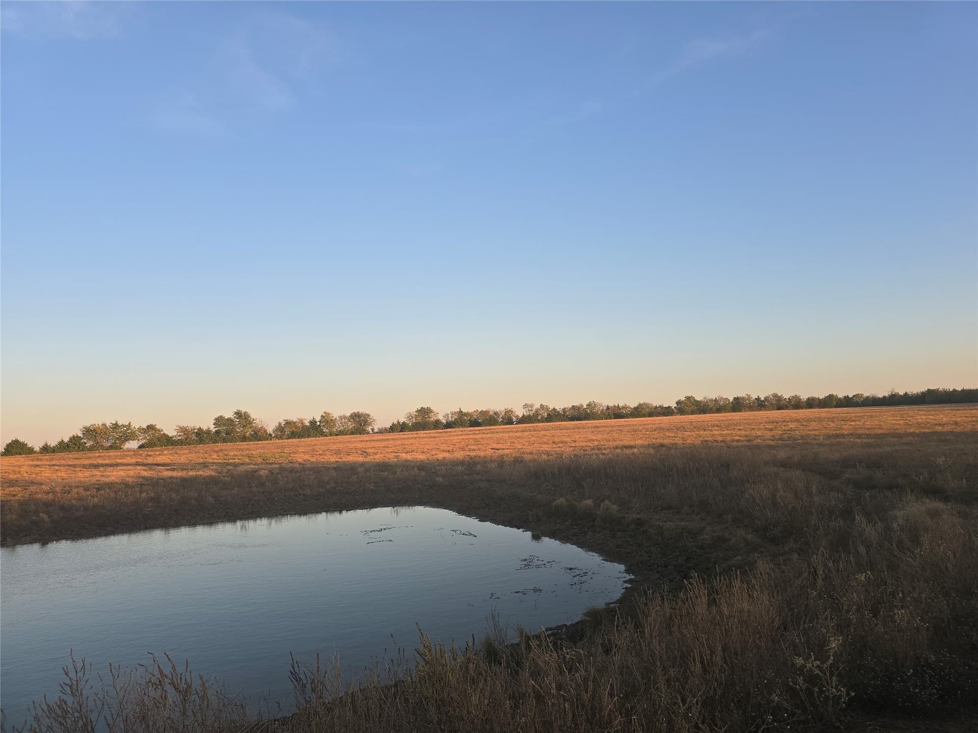 35 acres in Lamar County gallery image 2