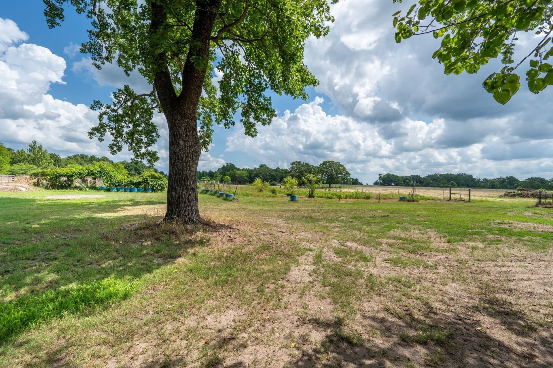 22.66 acres in Van Zandt County - photo 28