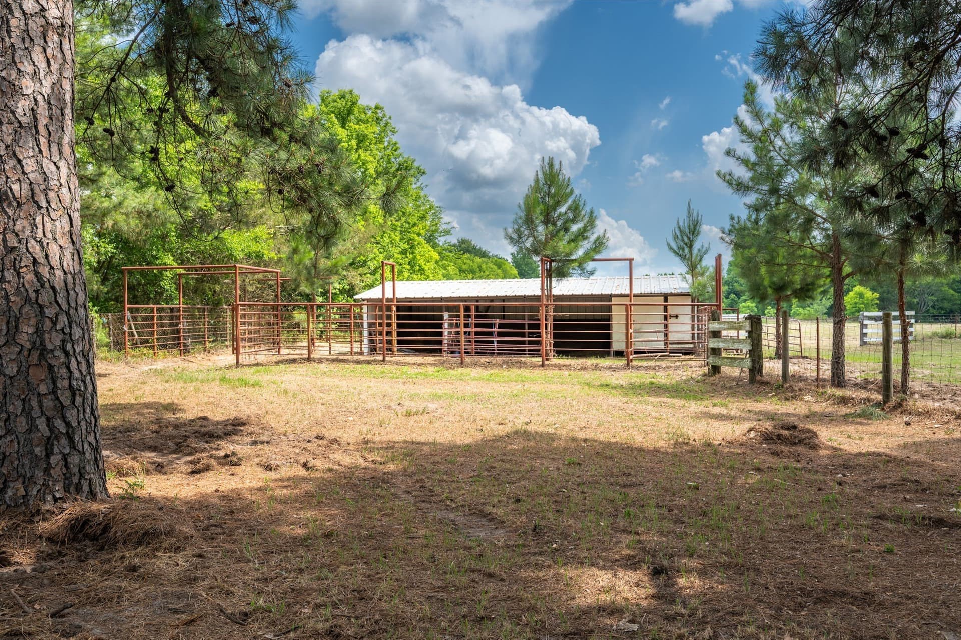 22.66 acres in Van Zandt County - photo 32