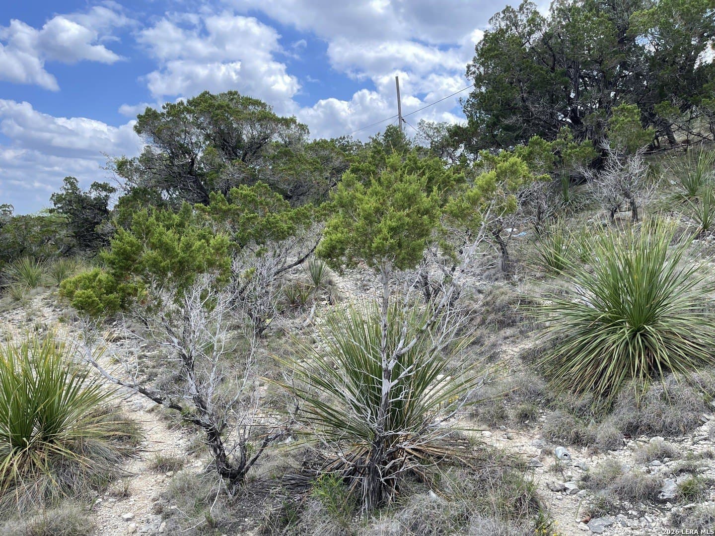 0.16 acres in Bandera County - photo 10