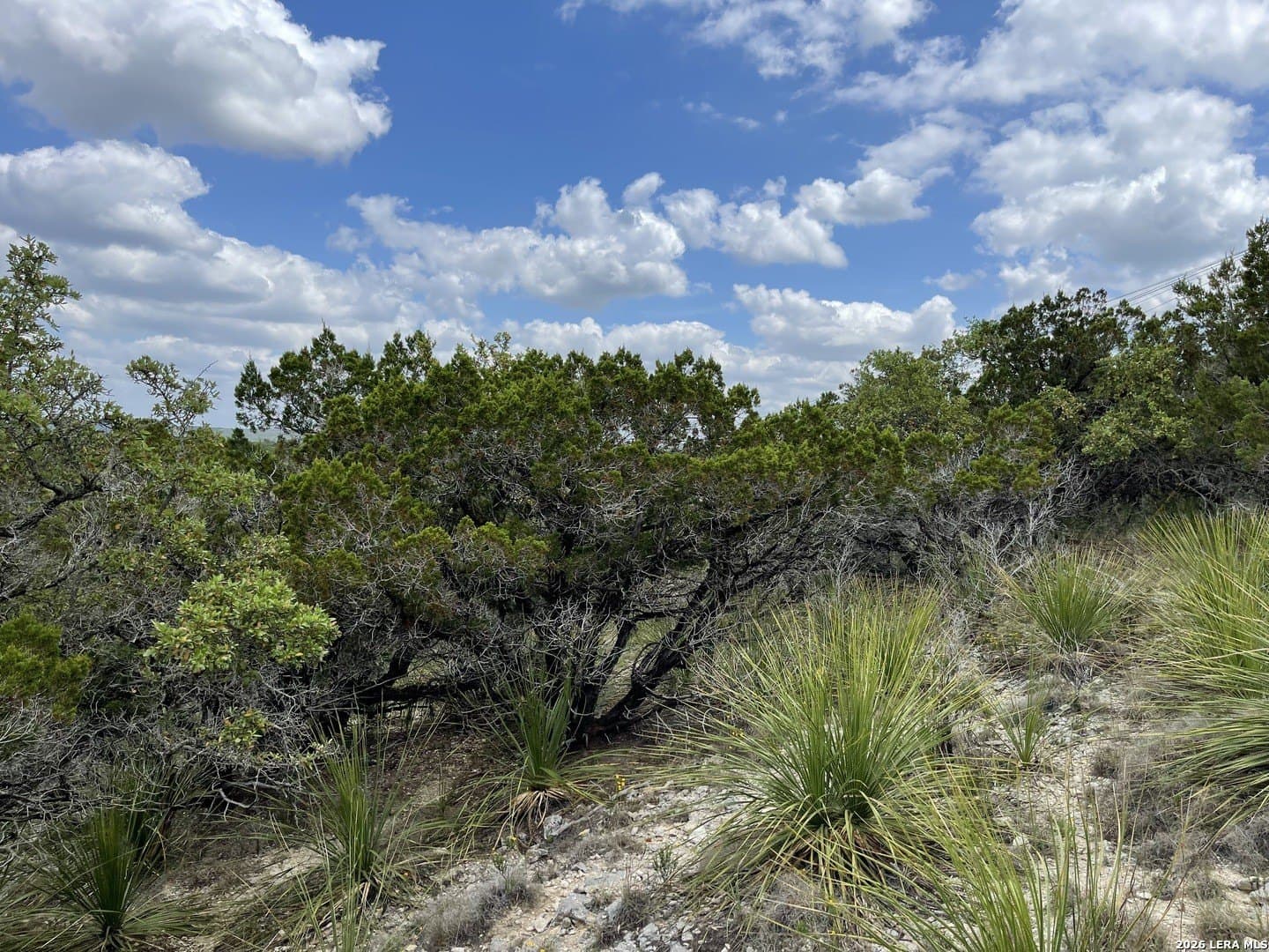 0.16 acres in Bandera County - photo 8