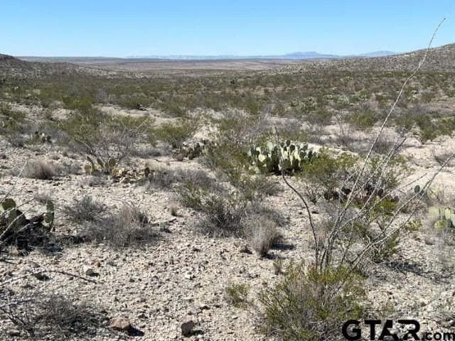 20 acres in Brewster County - photo 5