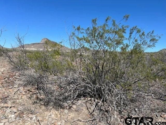 20 acres in Brewster County - photo 8