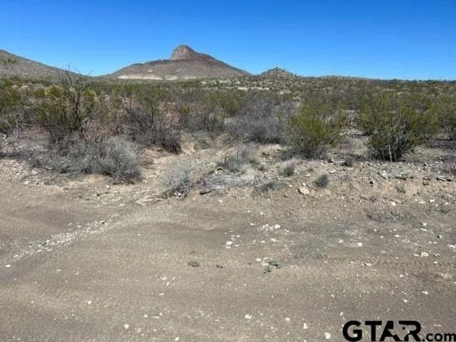 20 acres in Brewster County - photo 4