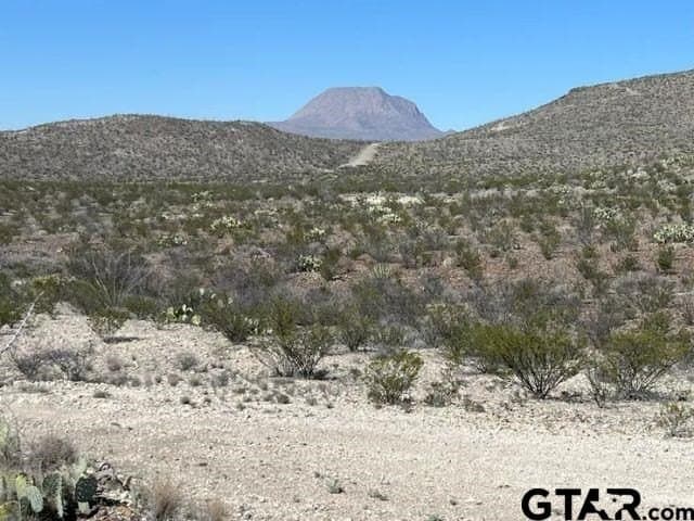 20 acres in Brewster County - photo 2