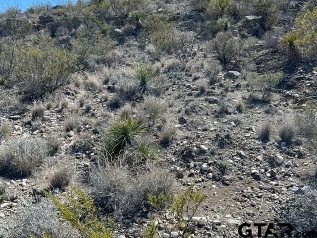 20 acres in Brewster County - photo 9