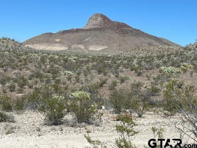 20 acres in Brewster County