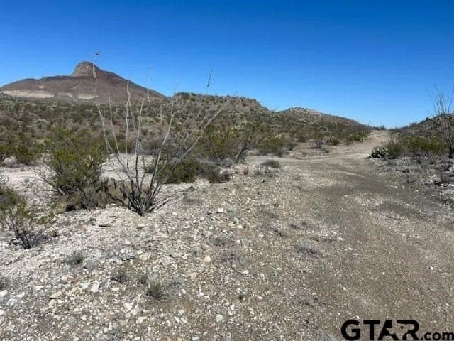20 acres in Brewster County - photo 3
