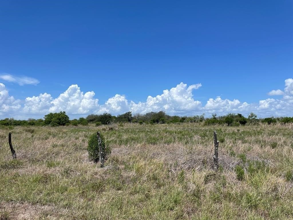 10.51 acres in Aransas County - photo 6