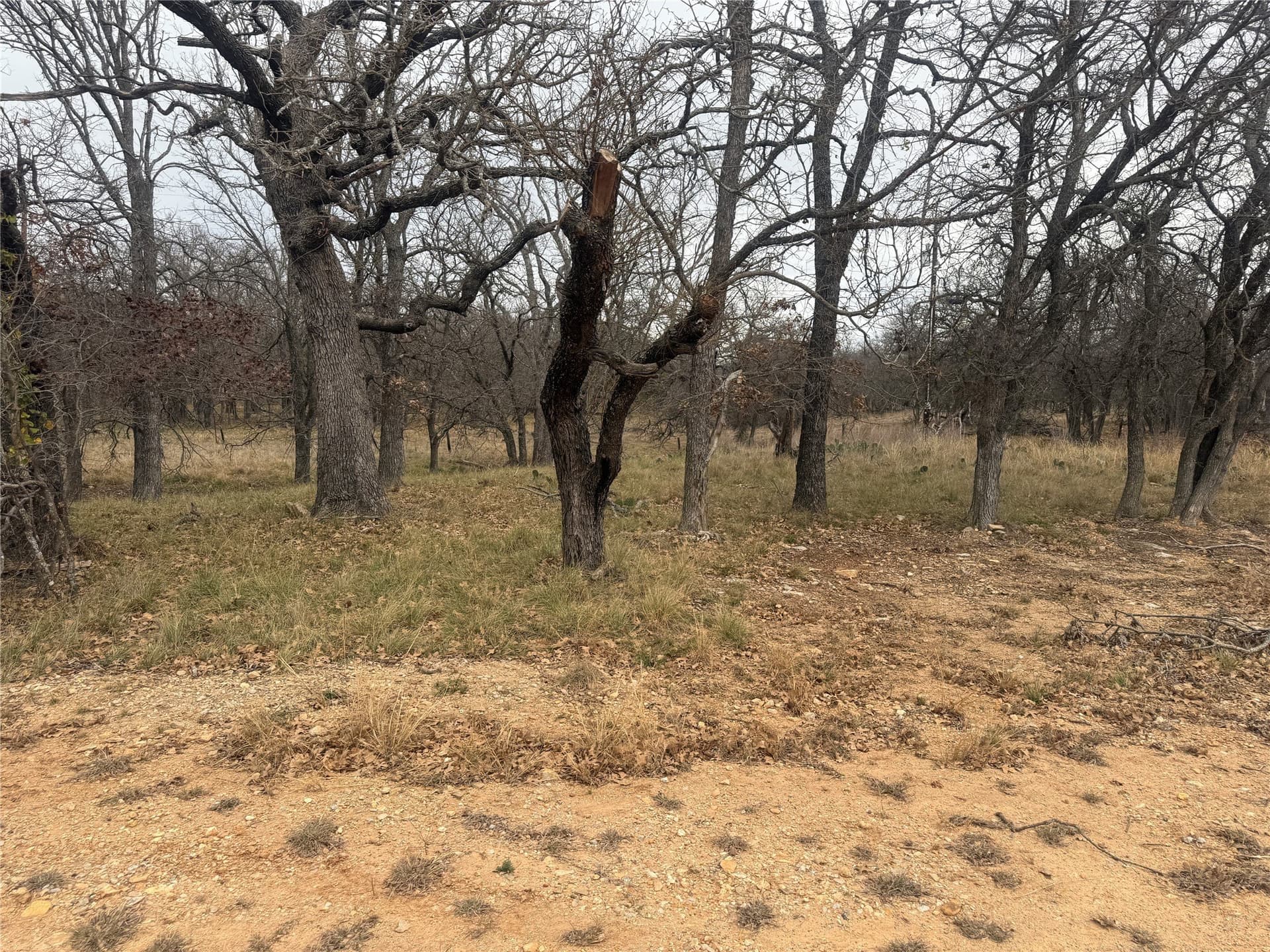0.23 acres in Brown County - photo 5