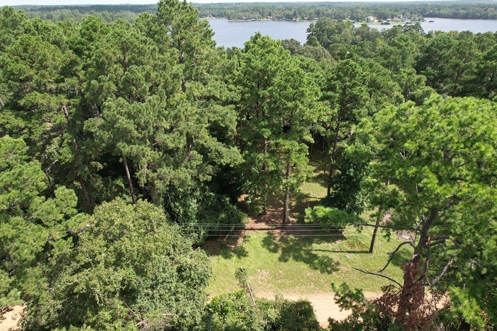 0.35 acres in Texas County gallery image 2