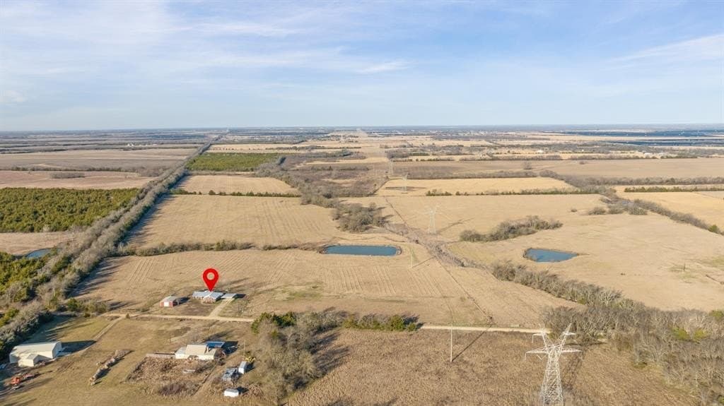 68.59 acres in Lamar County gallery image 4