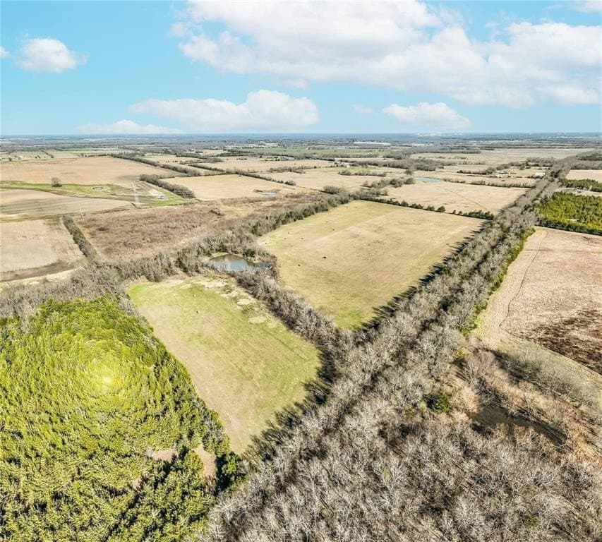 68.59 acres in Lamar County gallery image 2