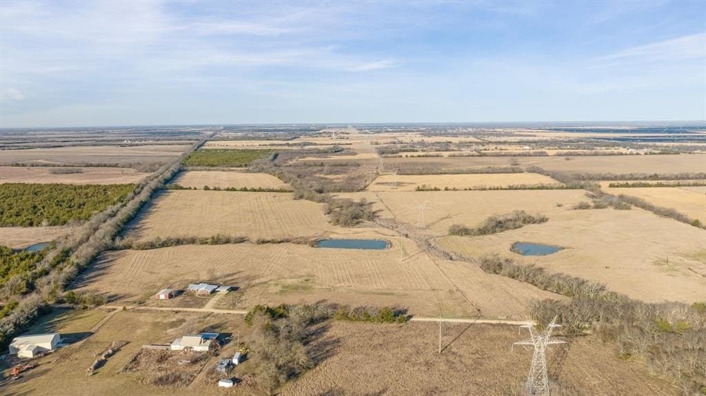68.59 acres in Lamar County gallery image 3