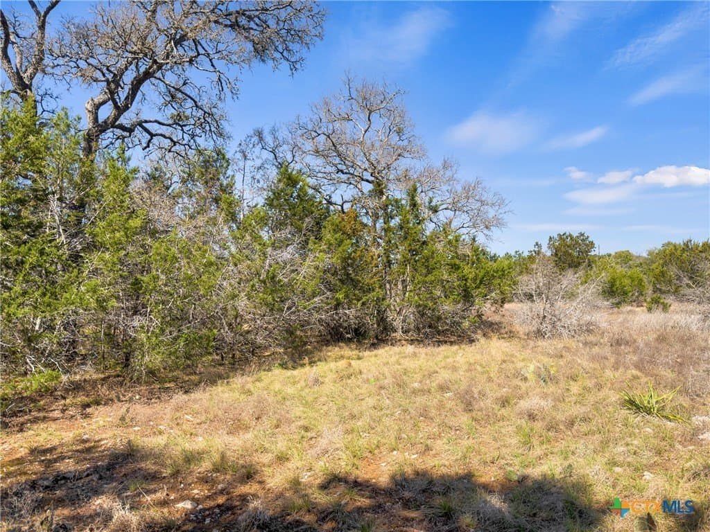 4.69 acres in Comal County gallery image 2