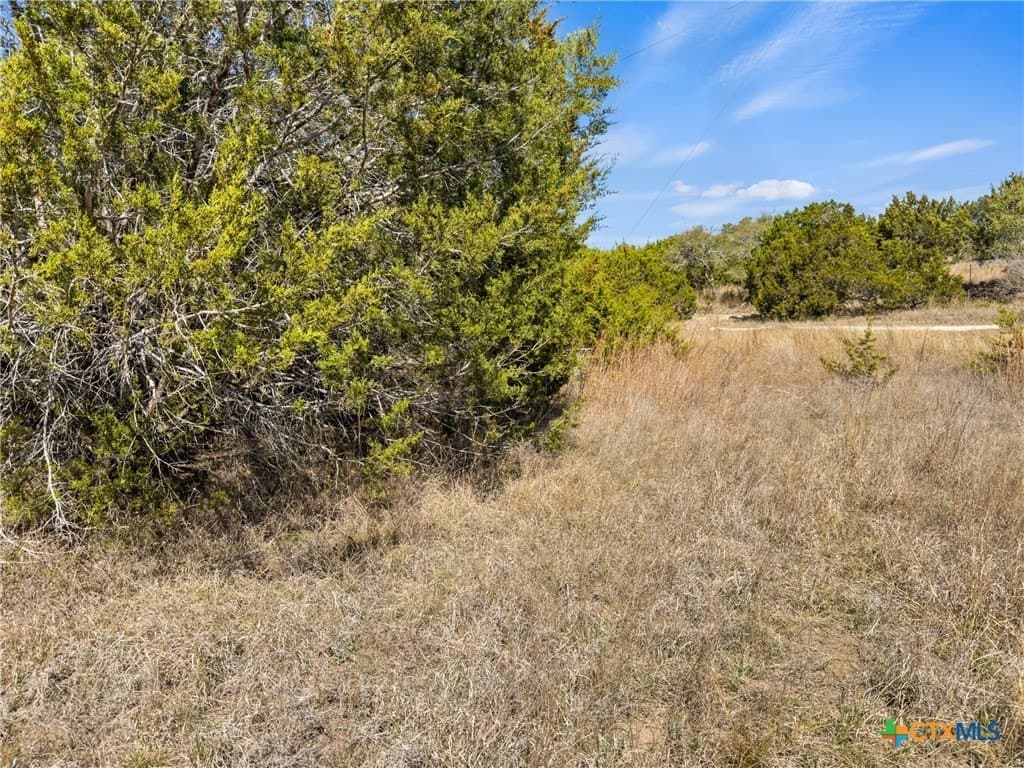 4.69 acres in Comal County featured view