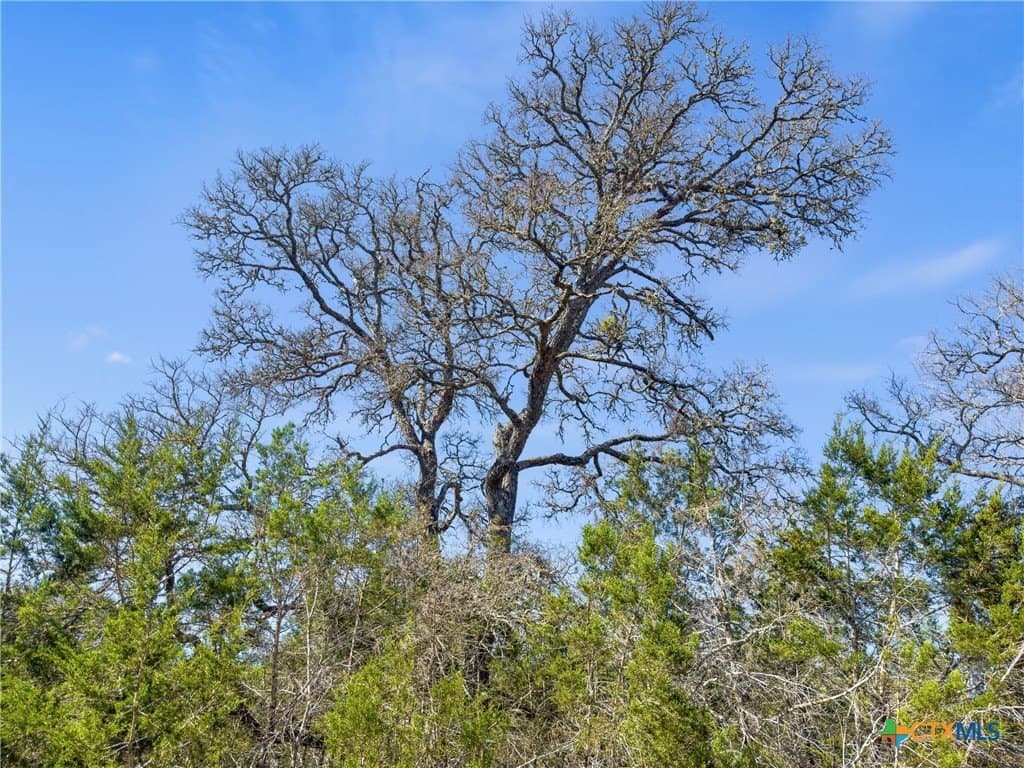 4.69 acres in Comal County gallery image 3