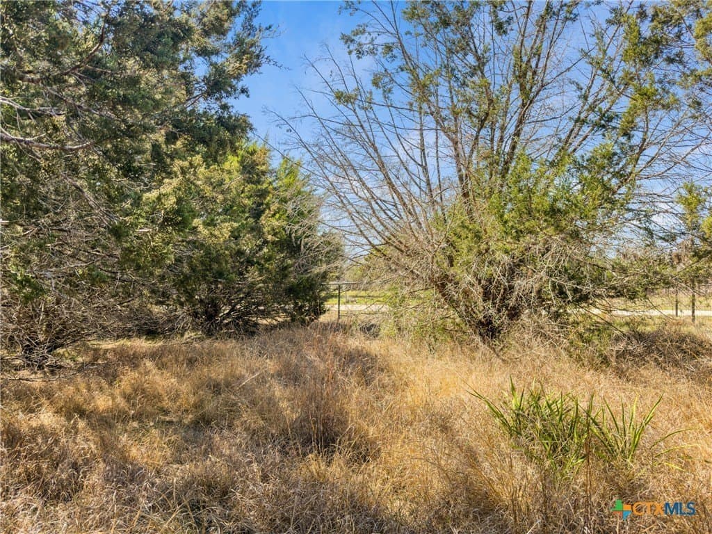 4.69 acres in Comal County gallery image 4