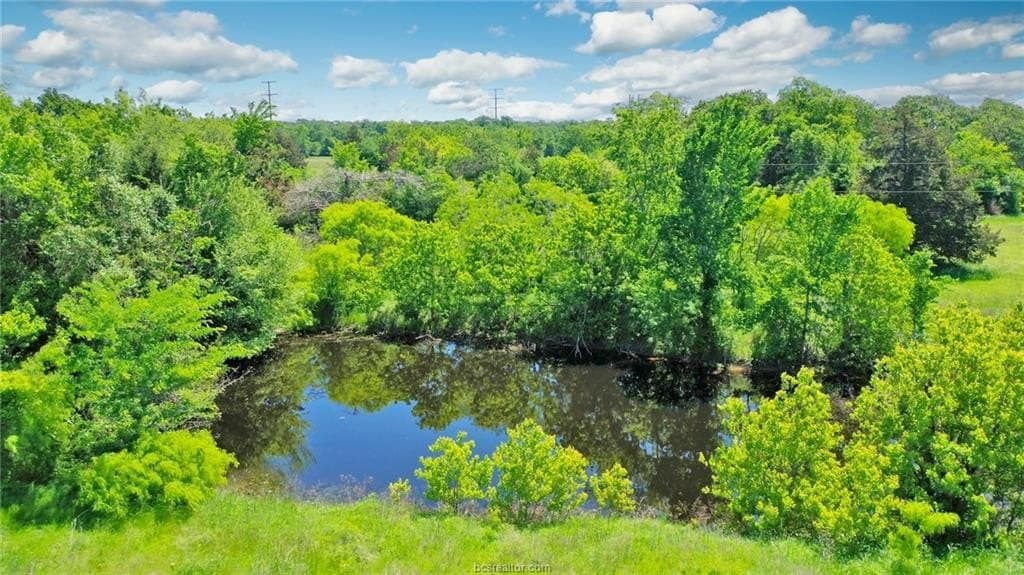 44.78 acres in Madison County gallery image 4