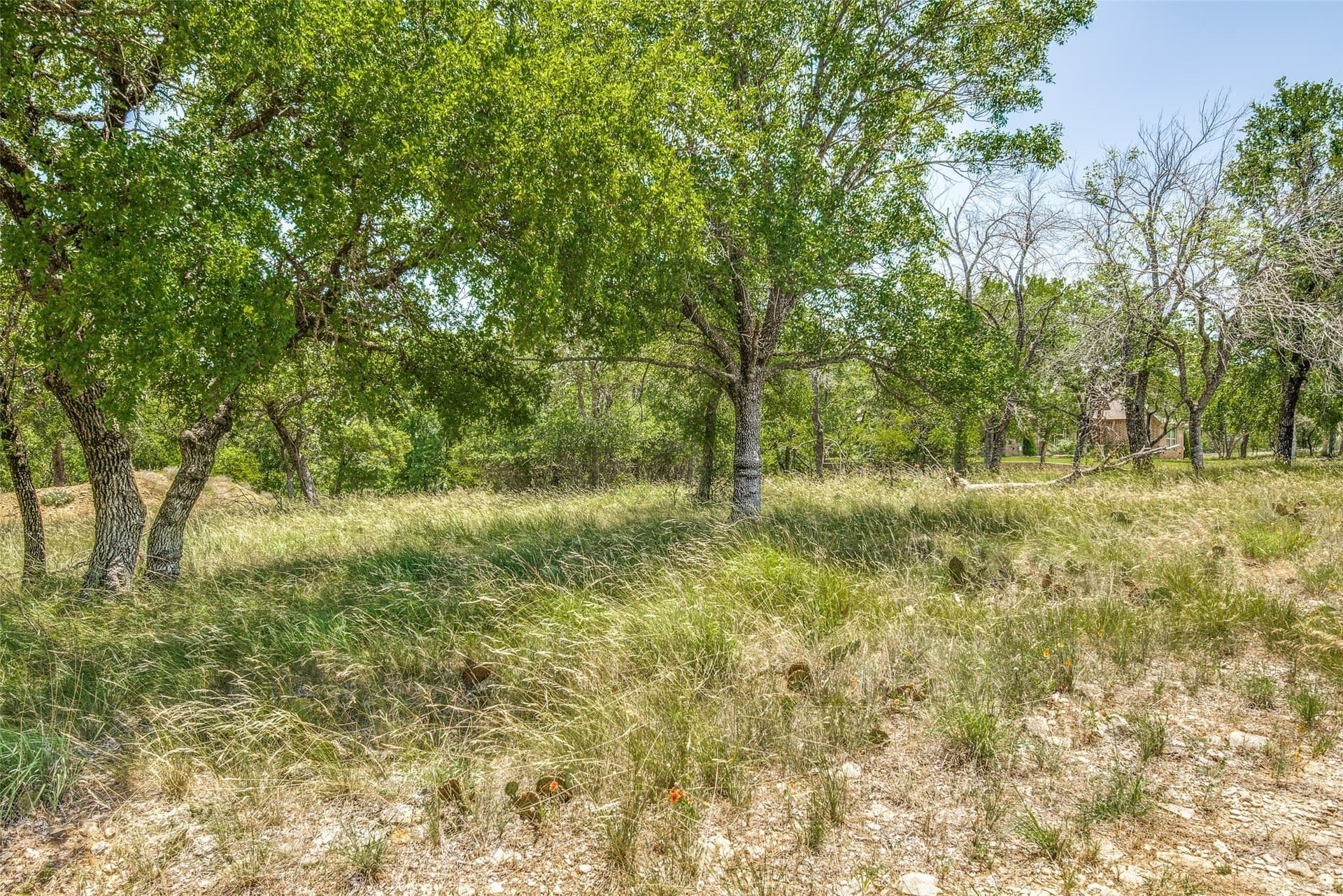 1 acres in Wise County - photo 10