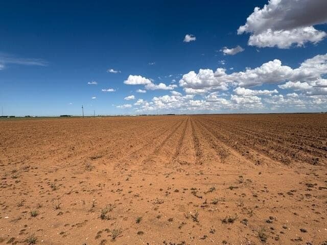 155 acres in Lynn County - photo 3