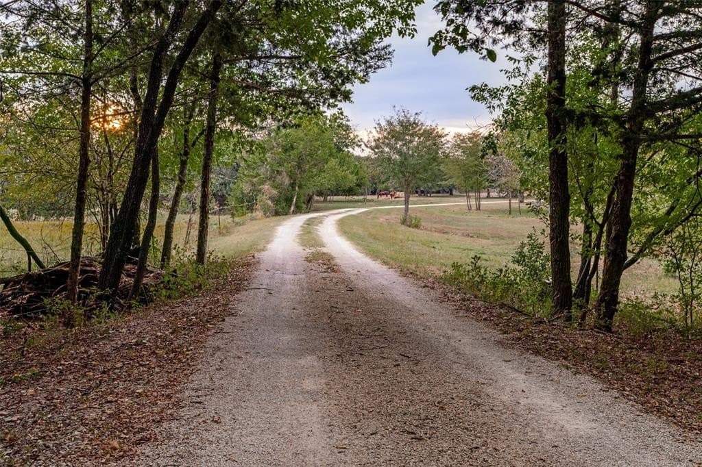 31.09 acres in Cooke County featured view