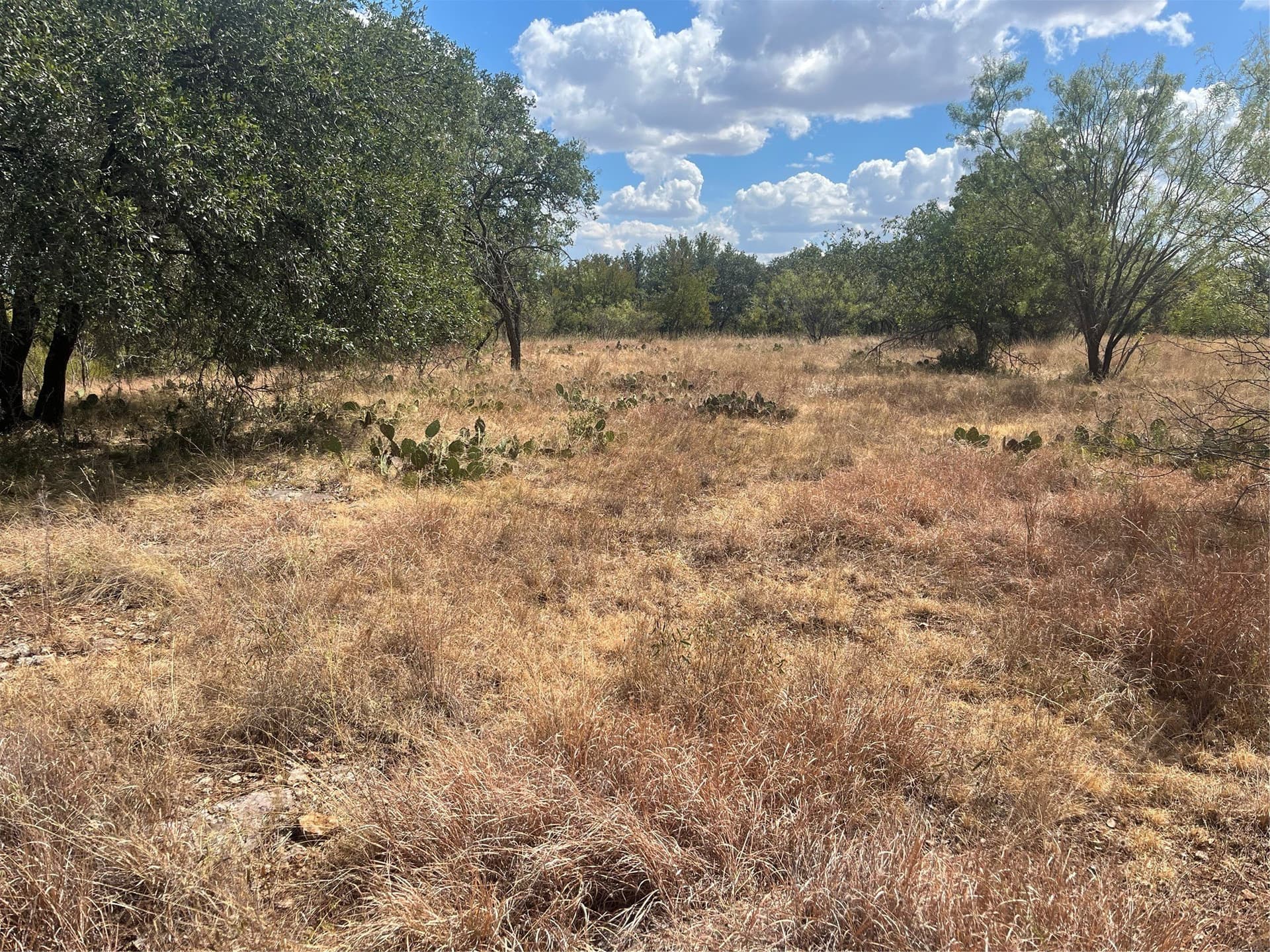 0.46 acres in Brown County - photo 3