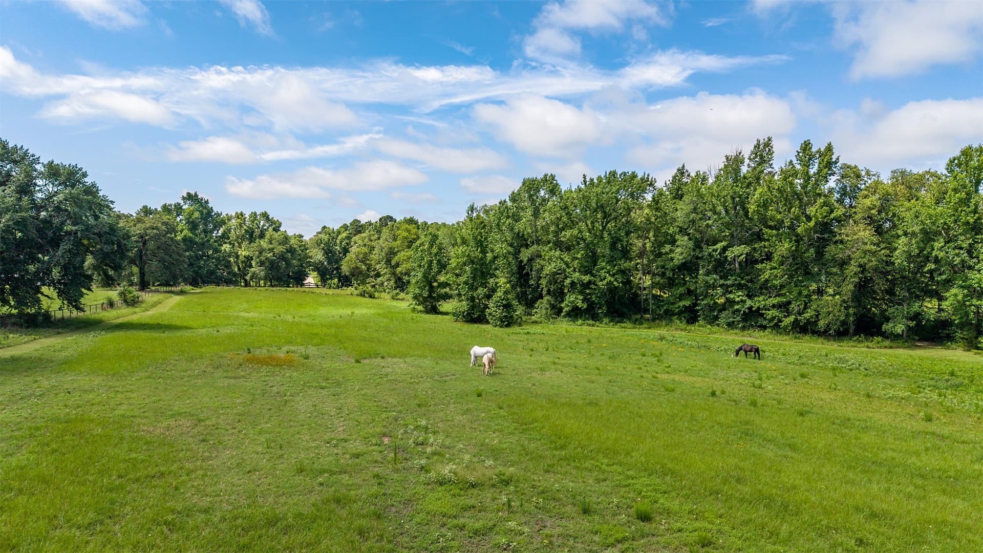 20.65 acres in Smith County - photo 12