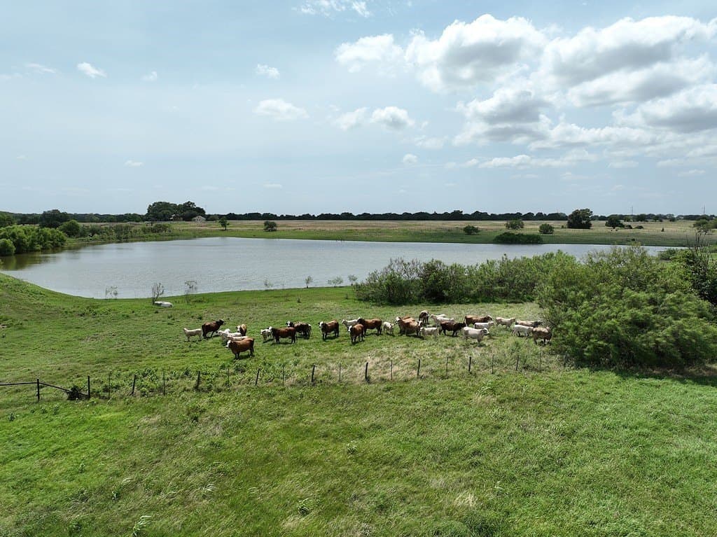 351 acres in Fayette County - photo 30