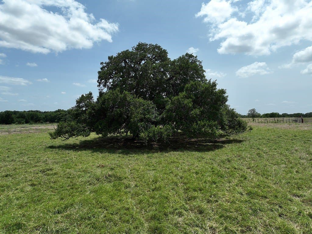 351 acres in Fayette County - photo 29